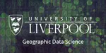 Mapping Injustice: Understanding Racial and Sociodemographic Disparities in COVID-19 Vulnerability in Brazil